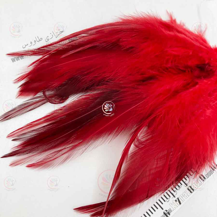 پر خروسی بسته 3 گرمی ( قرمز )