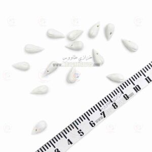 غنچه خمیری ( سفید )