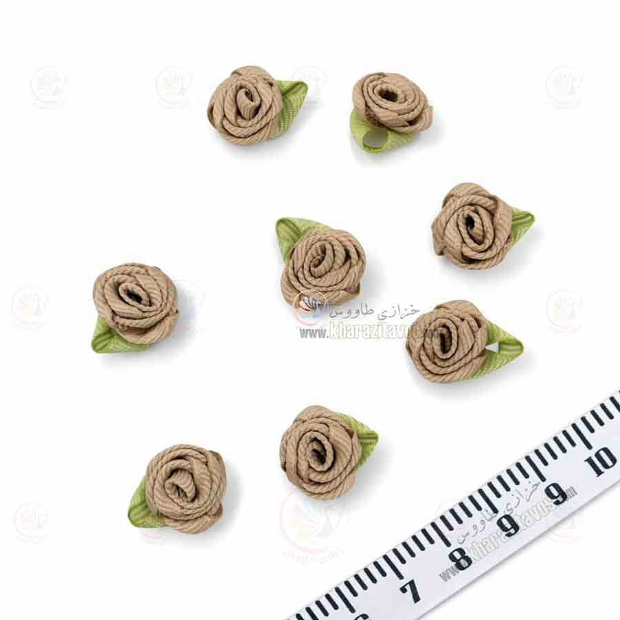 گل روبانی کوچک ( کاراملی )