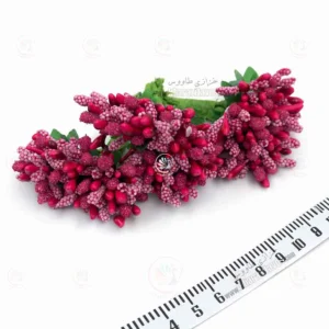 پرچم صدفی - شکری ( سرخابی )