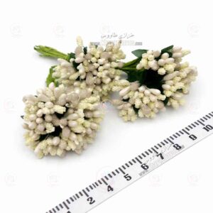 پرچم صدفی - شکری ( شیری )